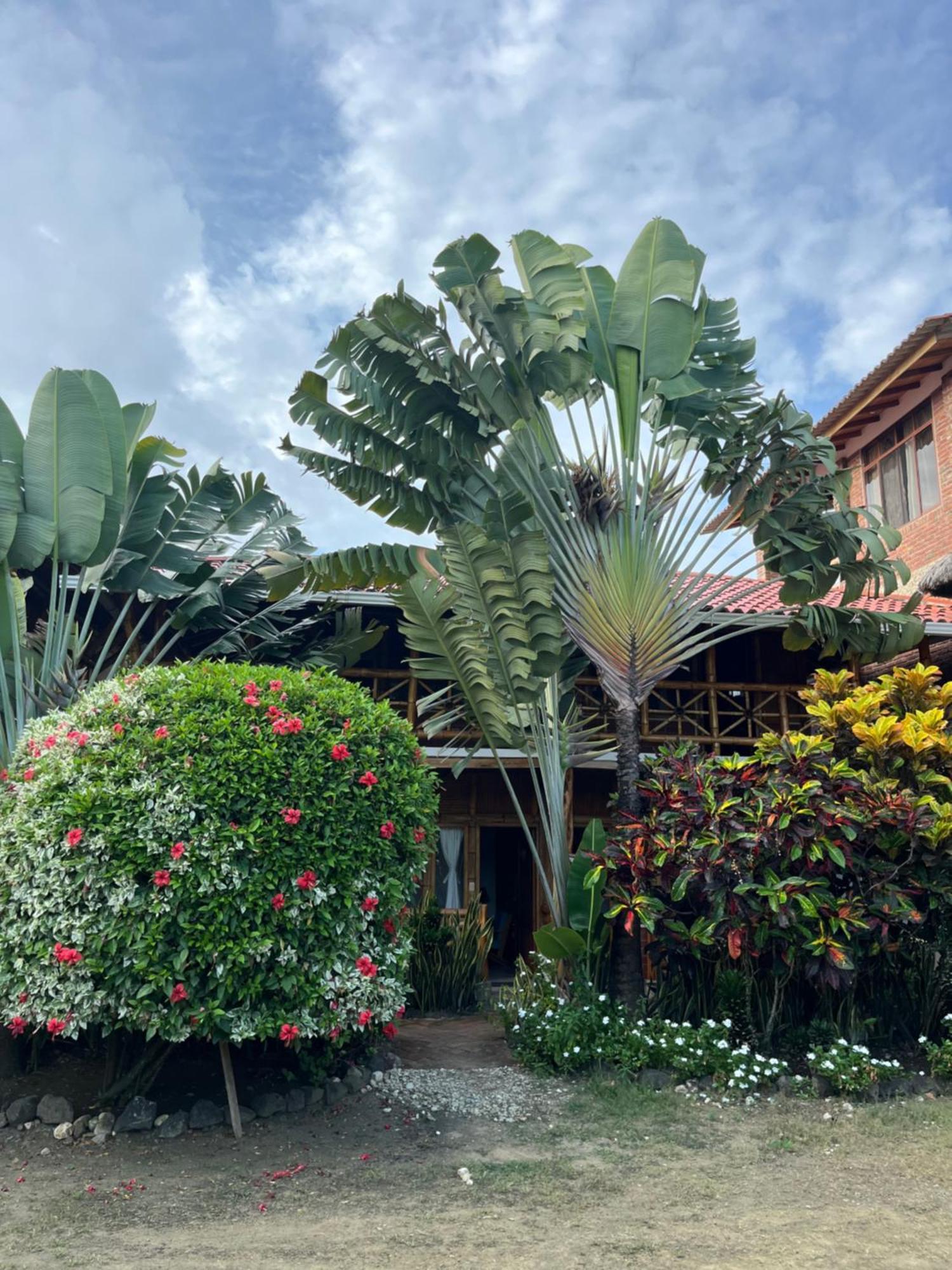 维克多雨果酒店 Puerto López 外观 照片